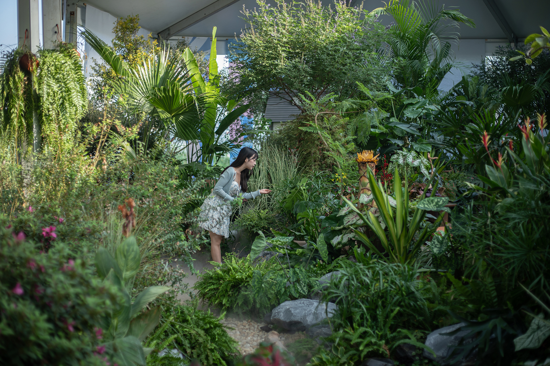 官宣！世界花園大會增設武漢分會場